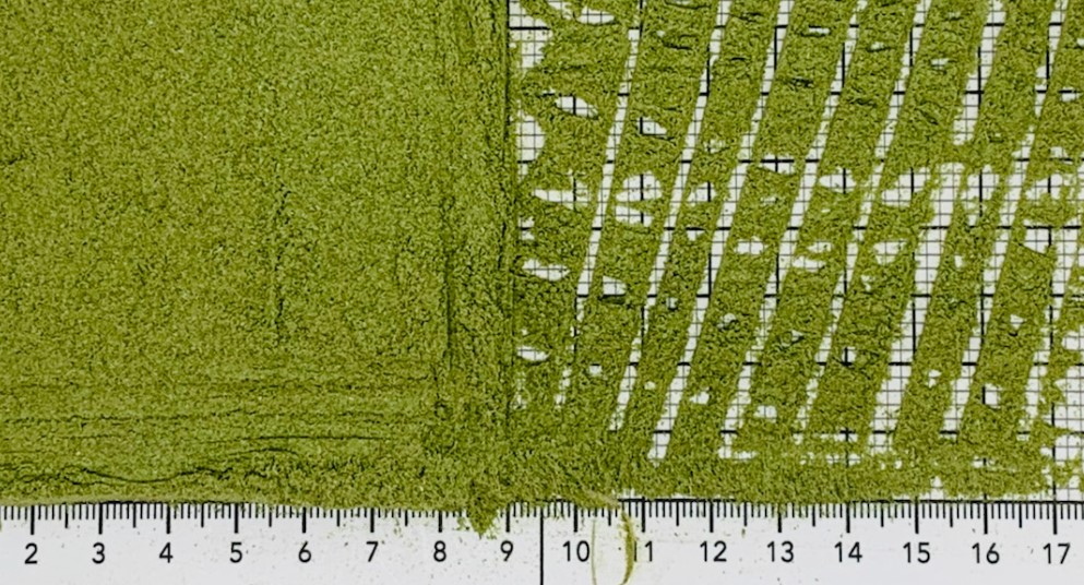 Натуральная свежесть зелёного лука в удобном формате порошка