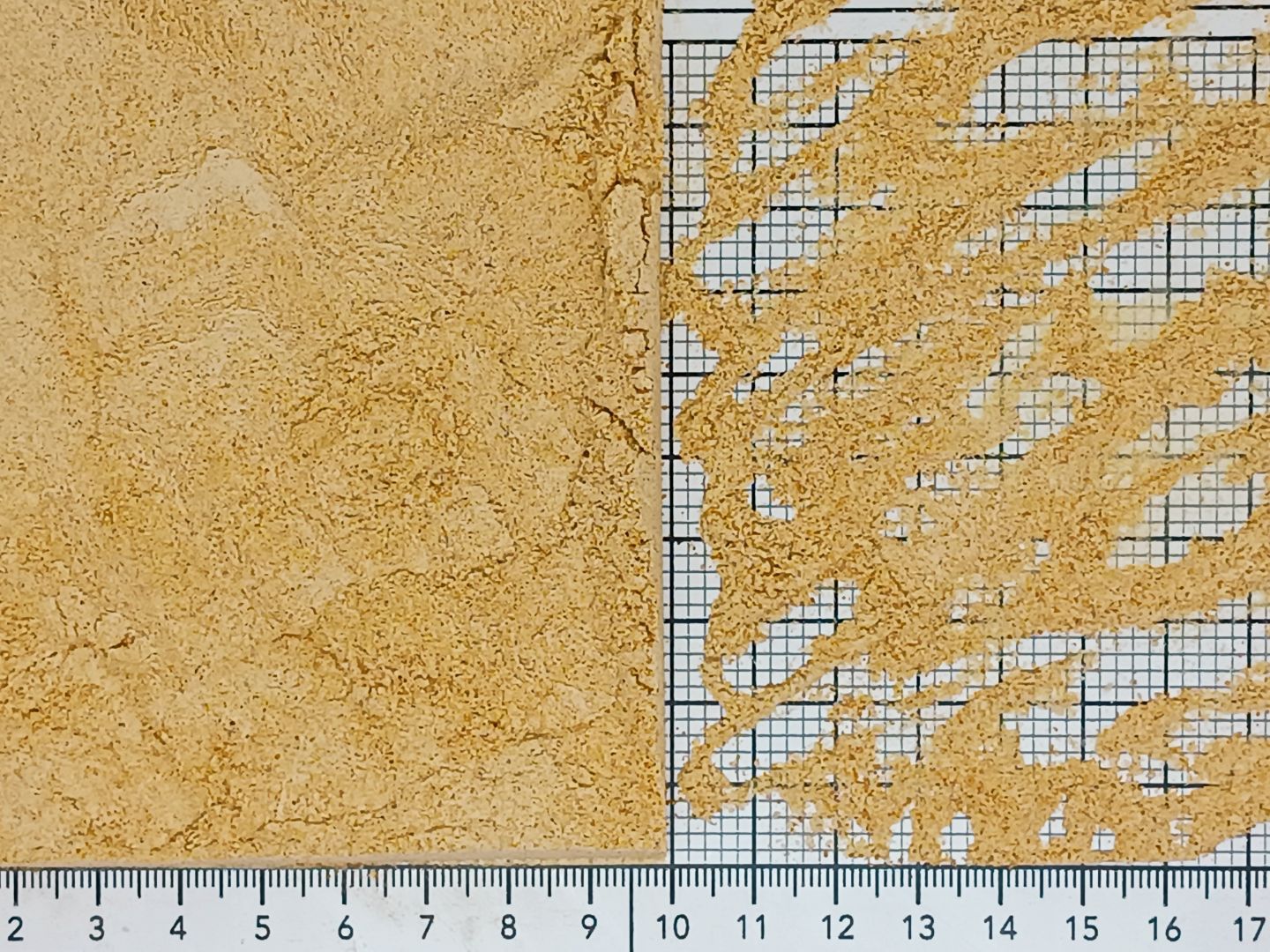 Натуральная морковь порошок — качество, которому можно доверять!