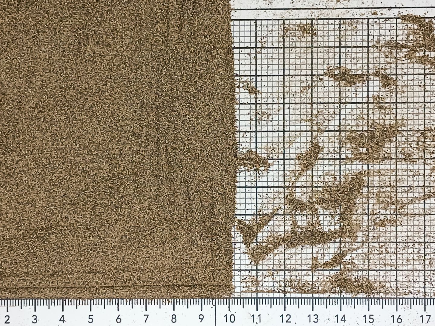 Перец чёрный молотый ЭКСТРА — насыщенный аромат и острая выгода!