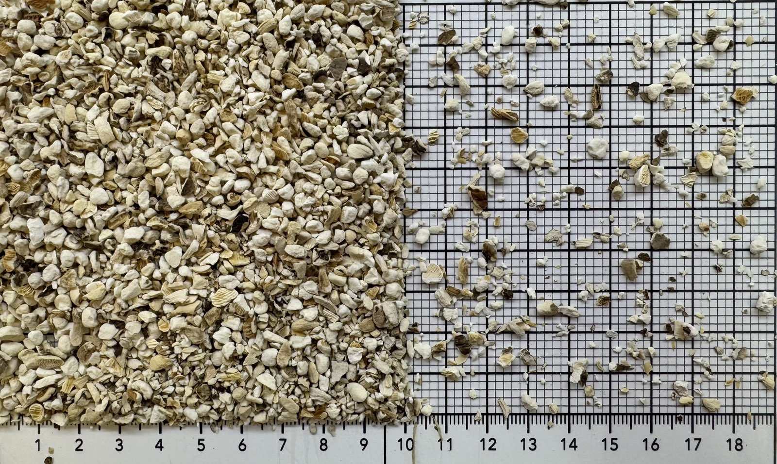 Гриб шампиньон сублимированной сушки 4×4 мм — чистый грибной вкус и максимальная концентрация!