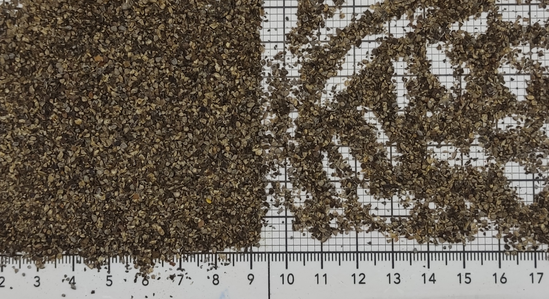 Перец чёрный 0,5-1,5 мм — насыщенный аромат и острая выгода!