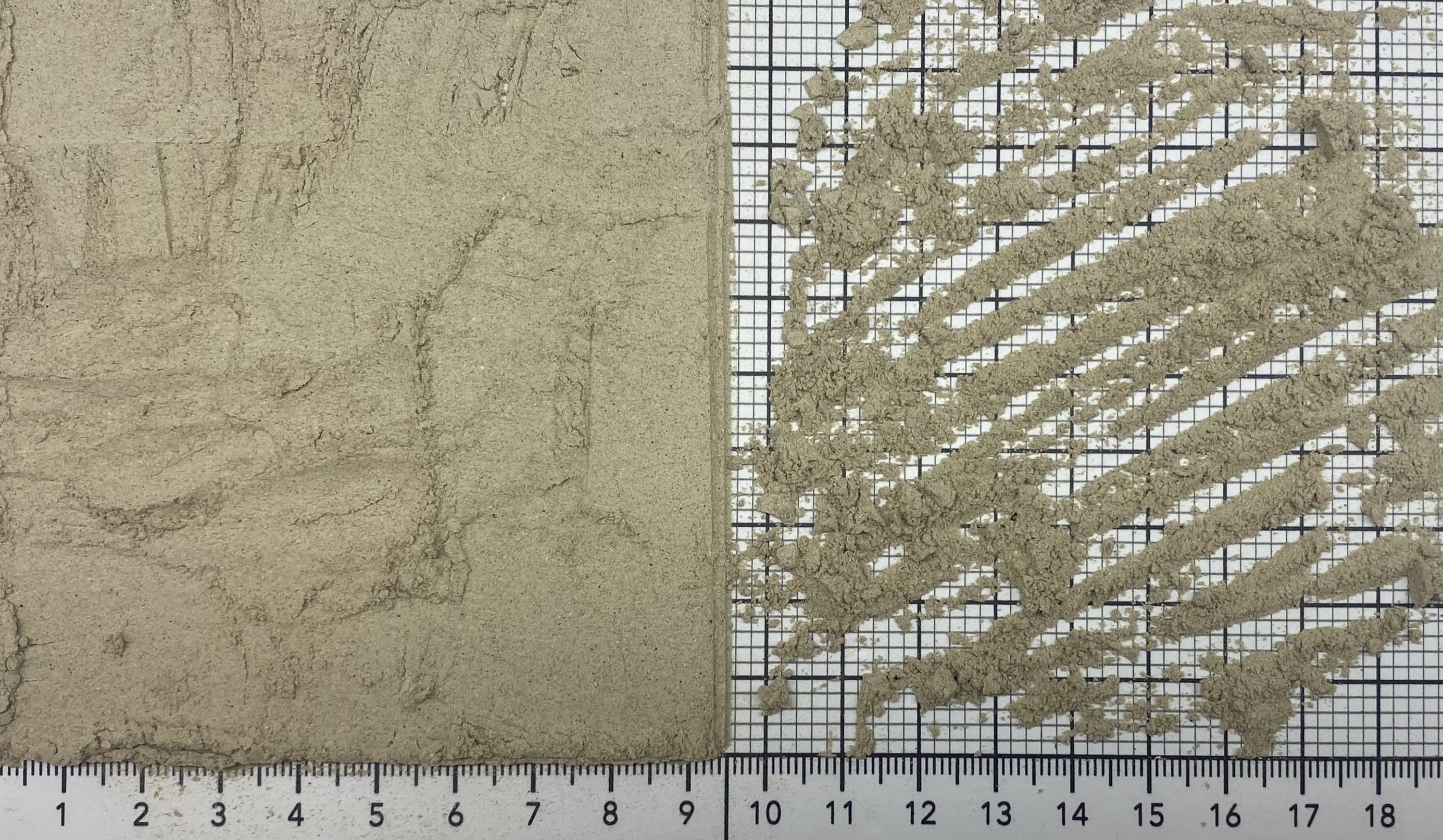 гриб белый порошок