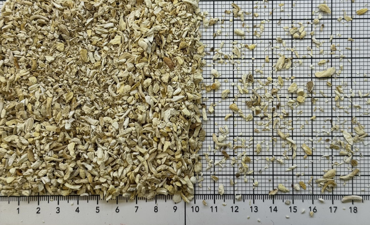 гриб вешенка 1-4 мм