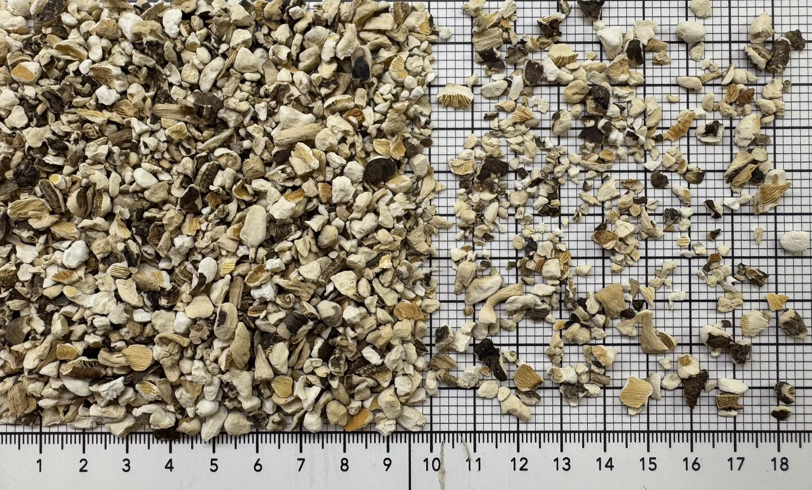 гриб шампиньон 4-6 мм экстра