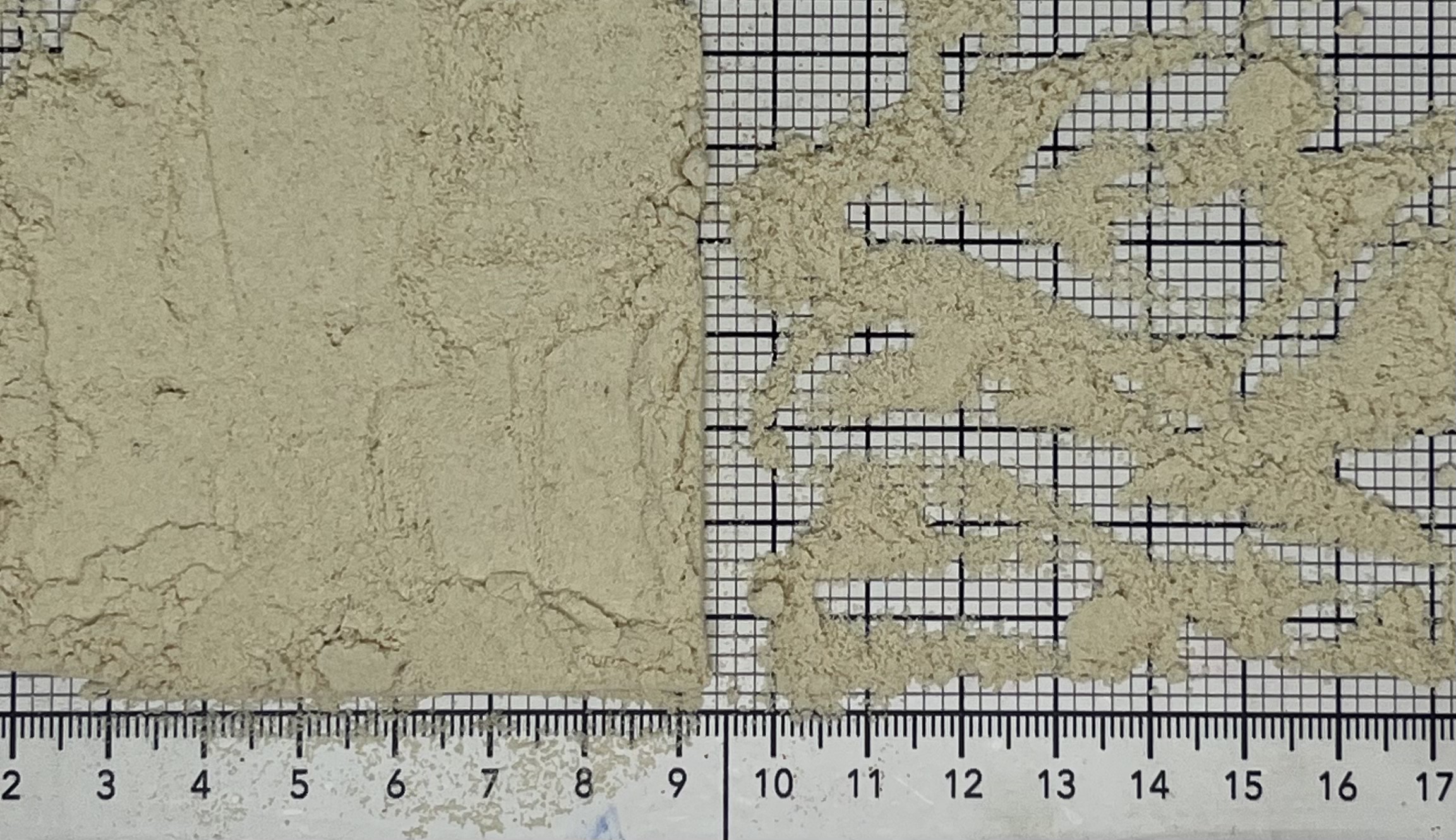 петрушка корень порошок