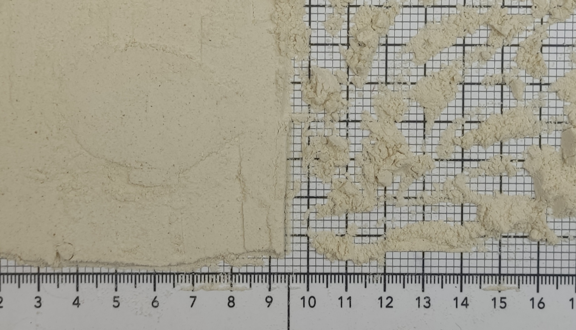 репа порошок