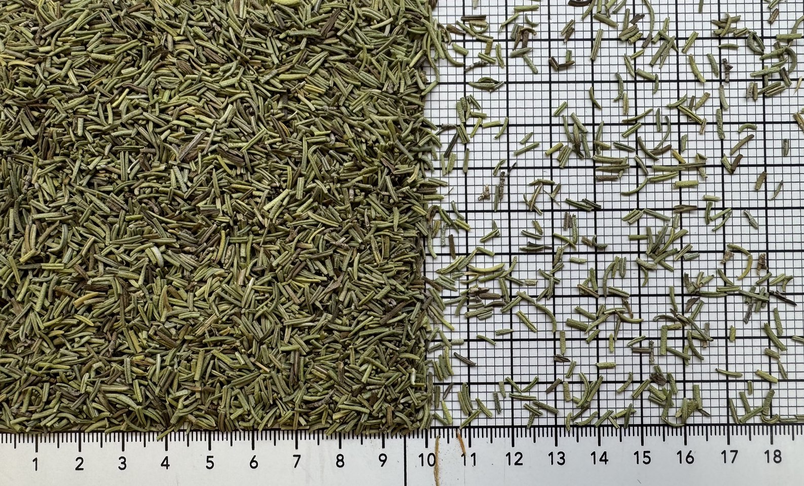 розмарин листья