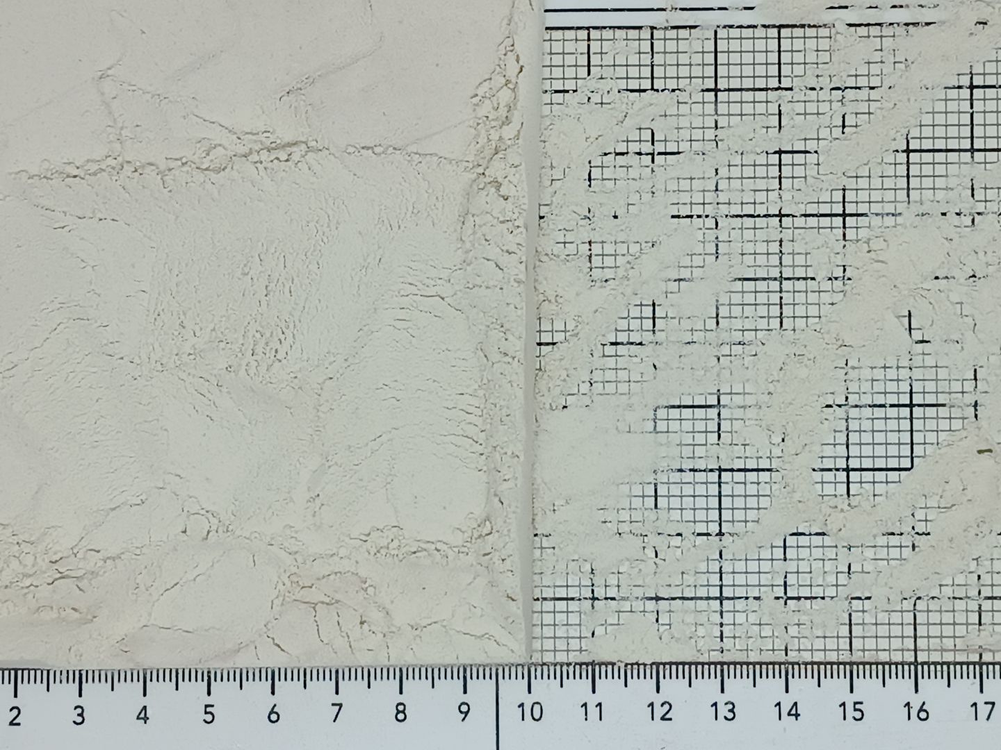 сельдерей корень порошок