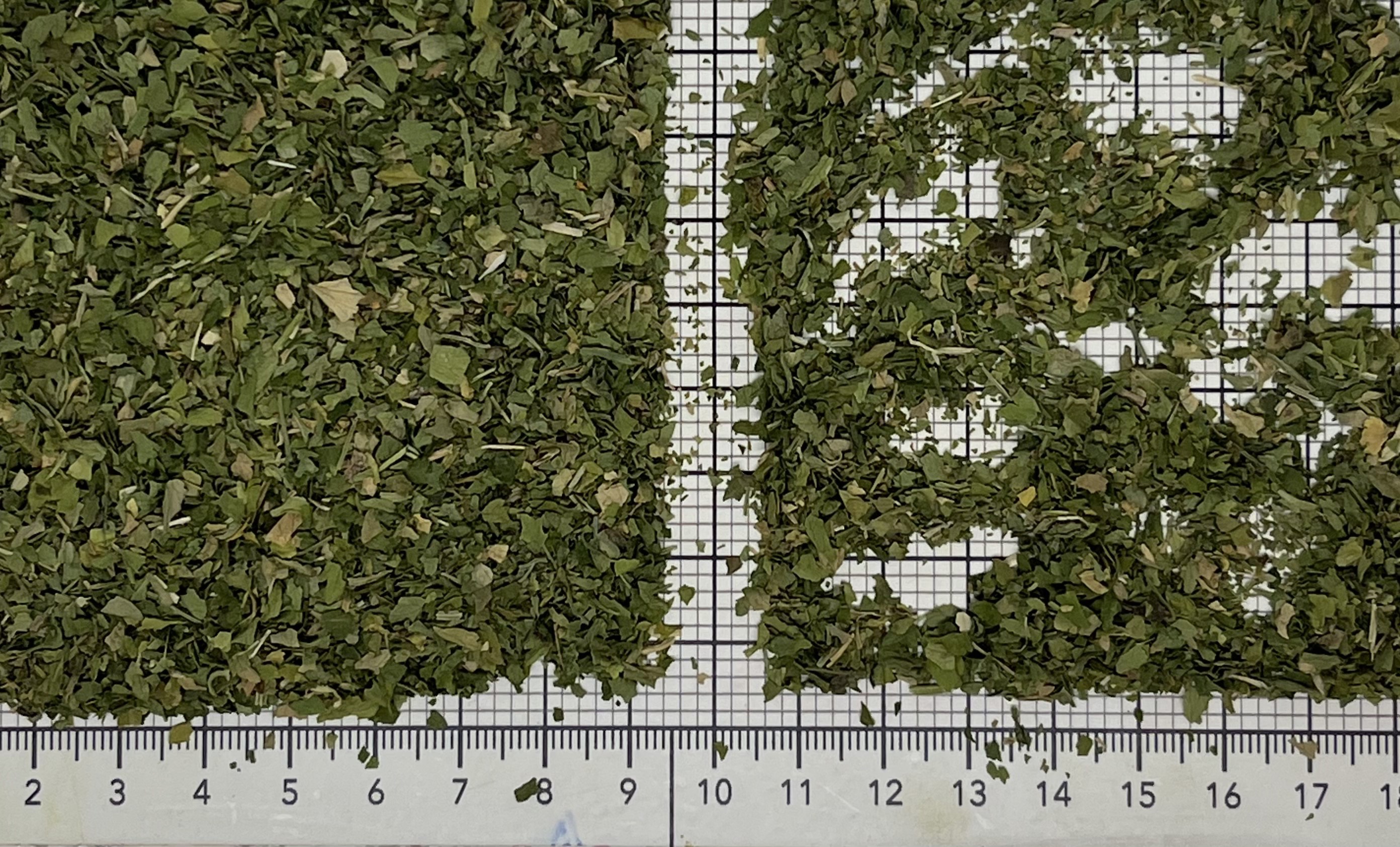 сельдерей лист sd очищенный