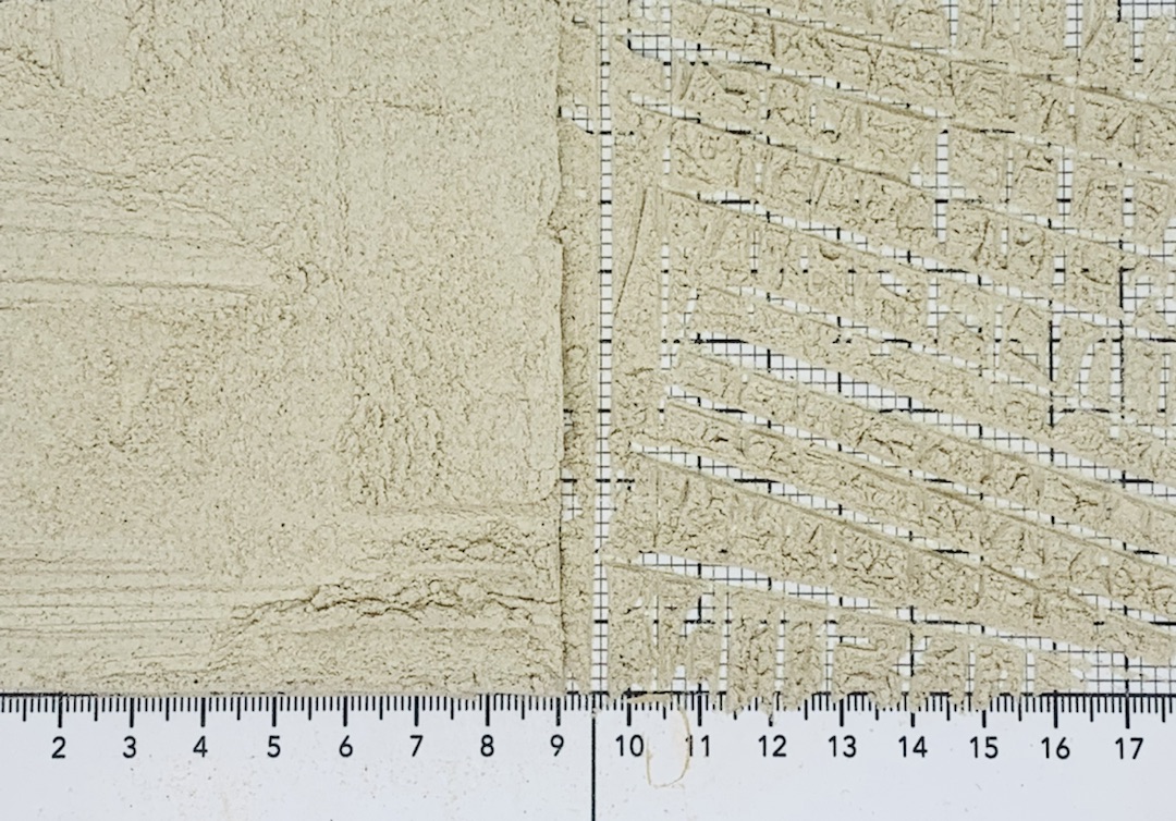 смесь лесных грибов порошок