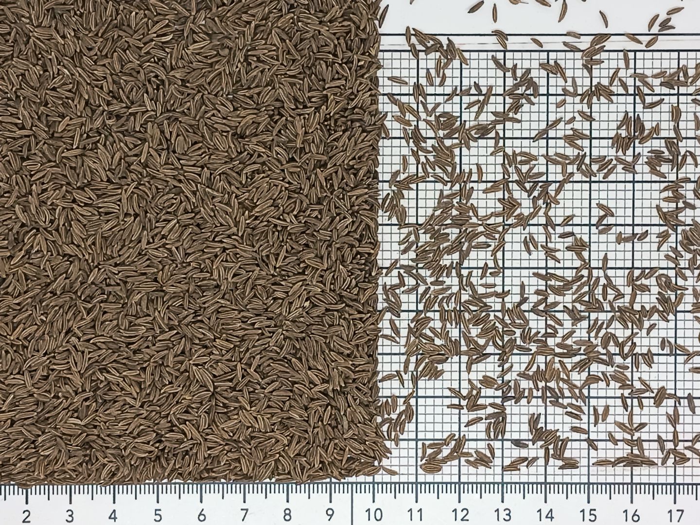 тмин семена очищенные