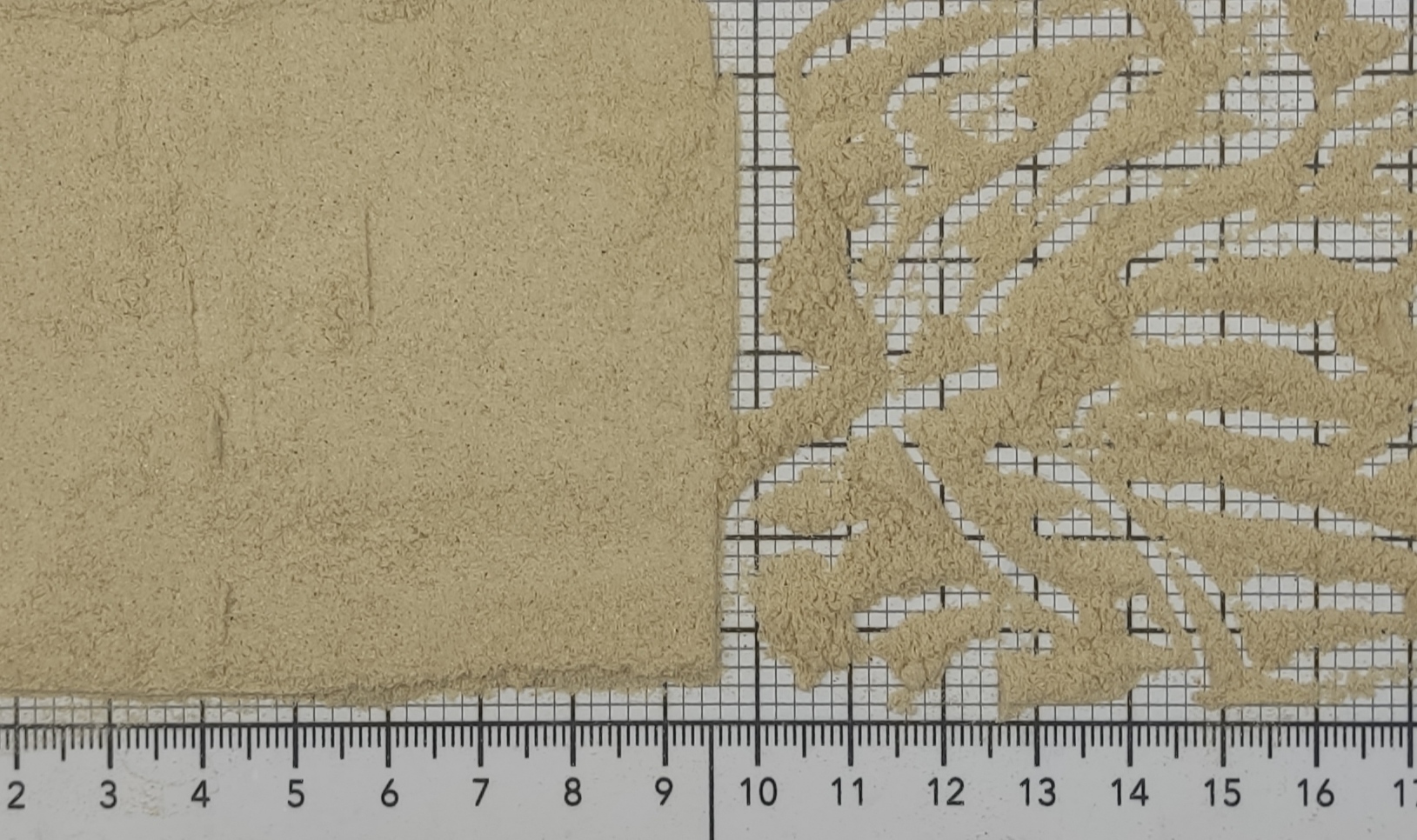 гриб вешенка порошок