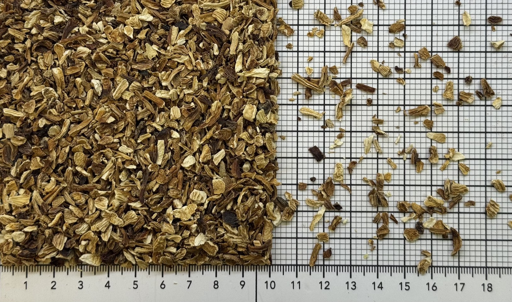 гриб лисичка 2-6 мм