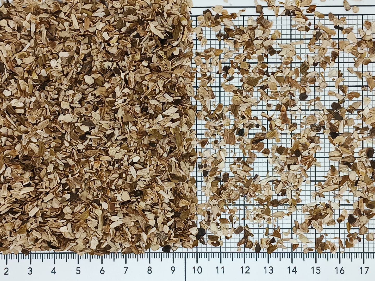 гриб шампиньон 1-4 мм