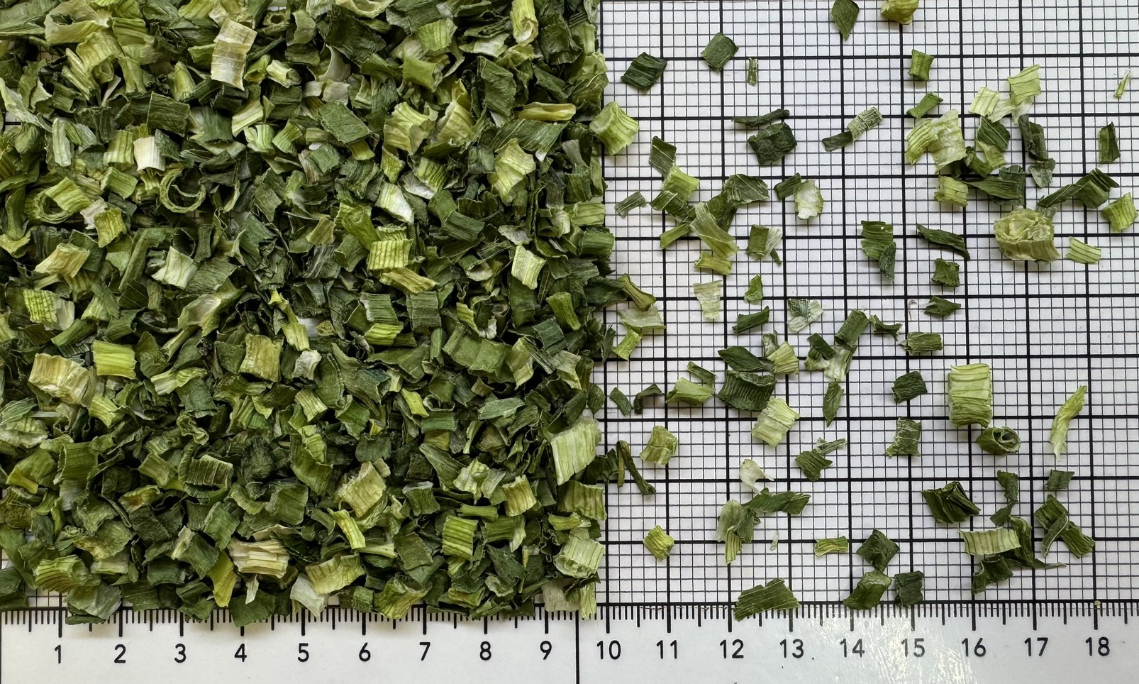 лук зеленый кольцо