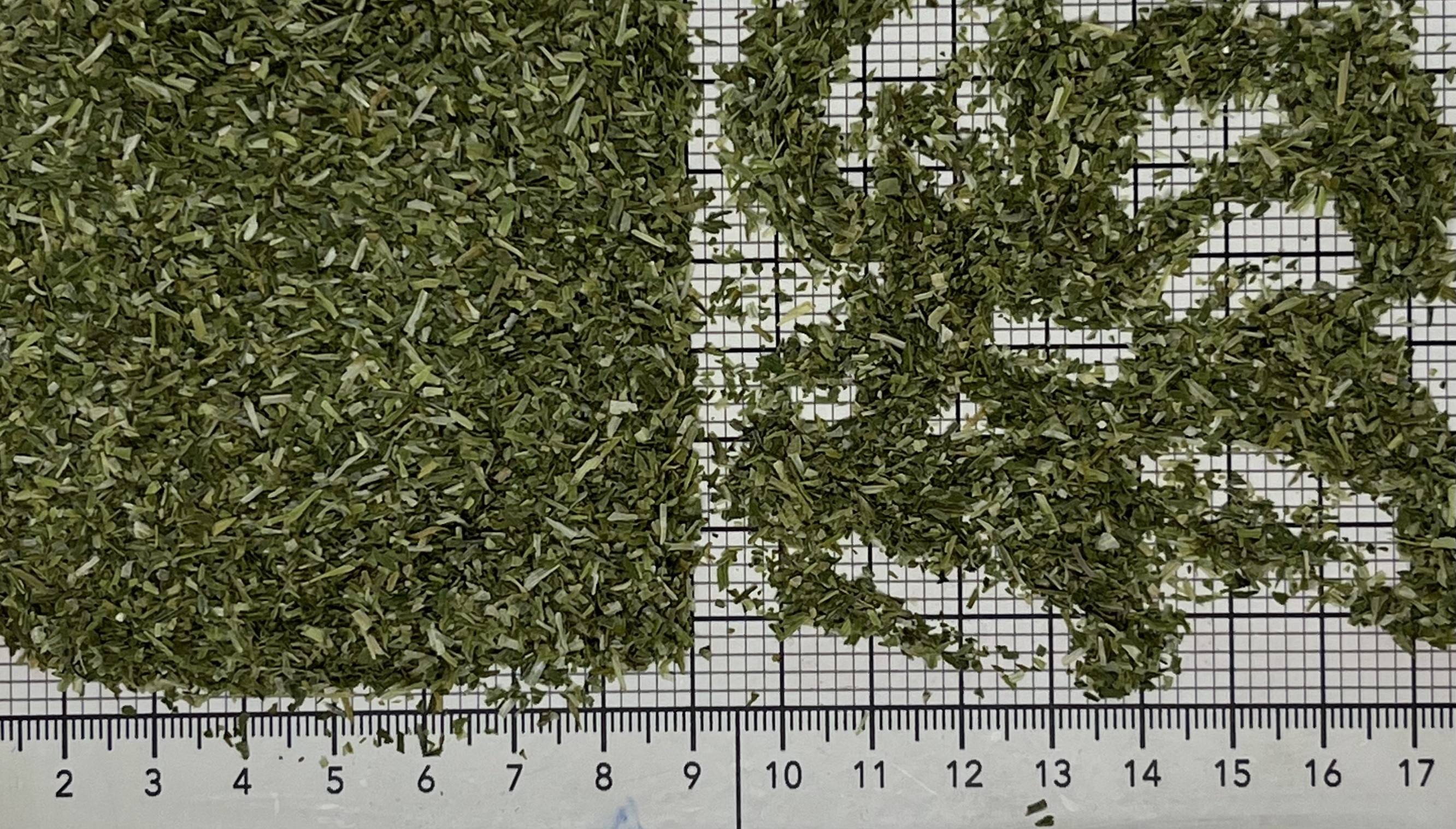 лук порей 1-2 мм