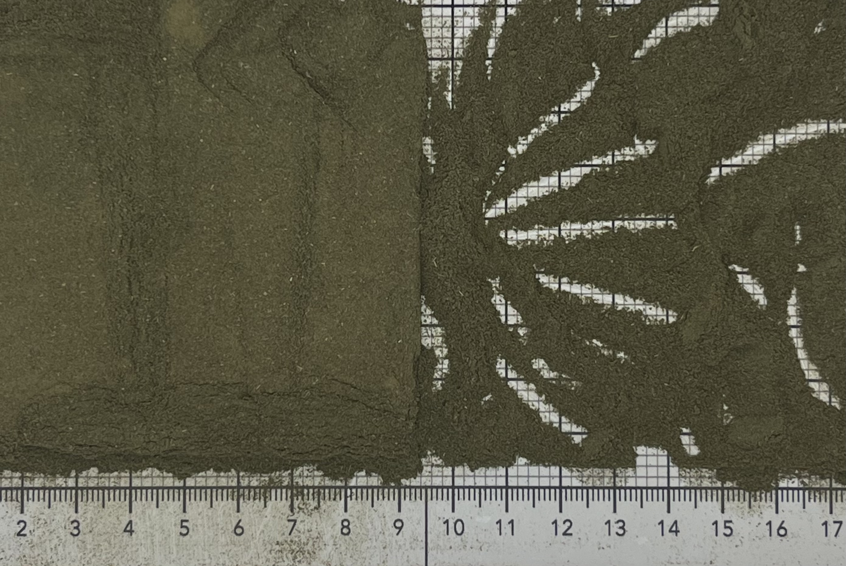 мята порошок