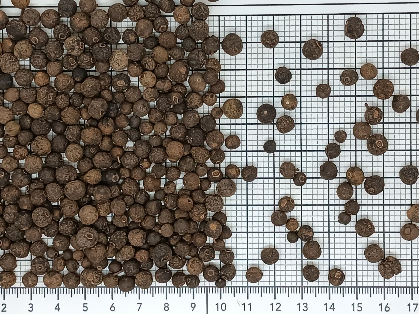 перец душистый горошек калиброванный