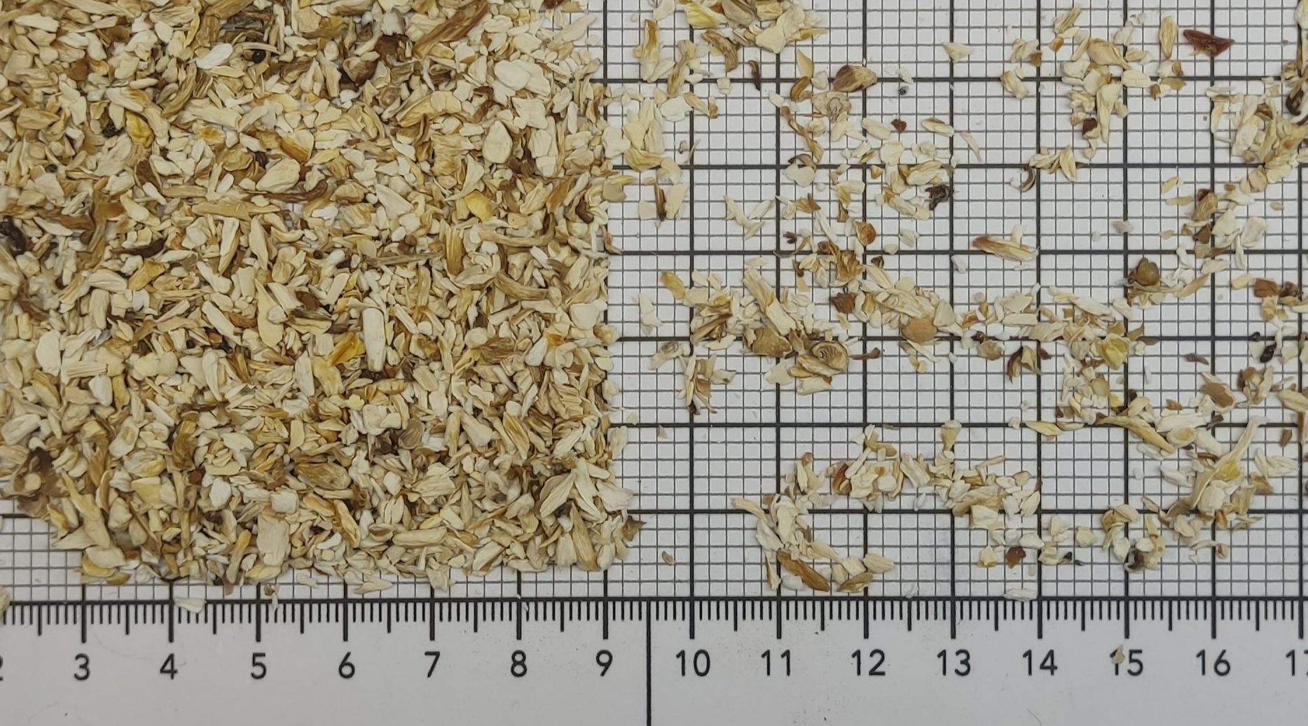 смесь лесных грибов 2-4 мм