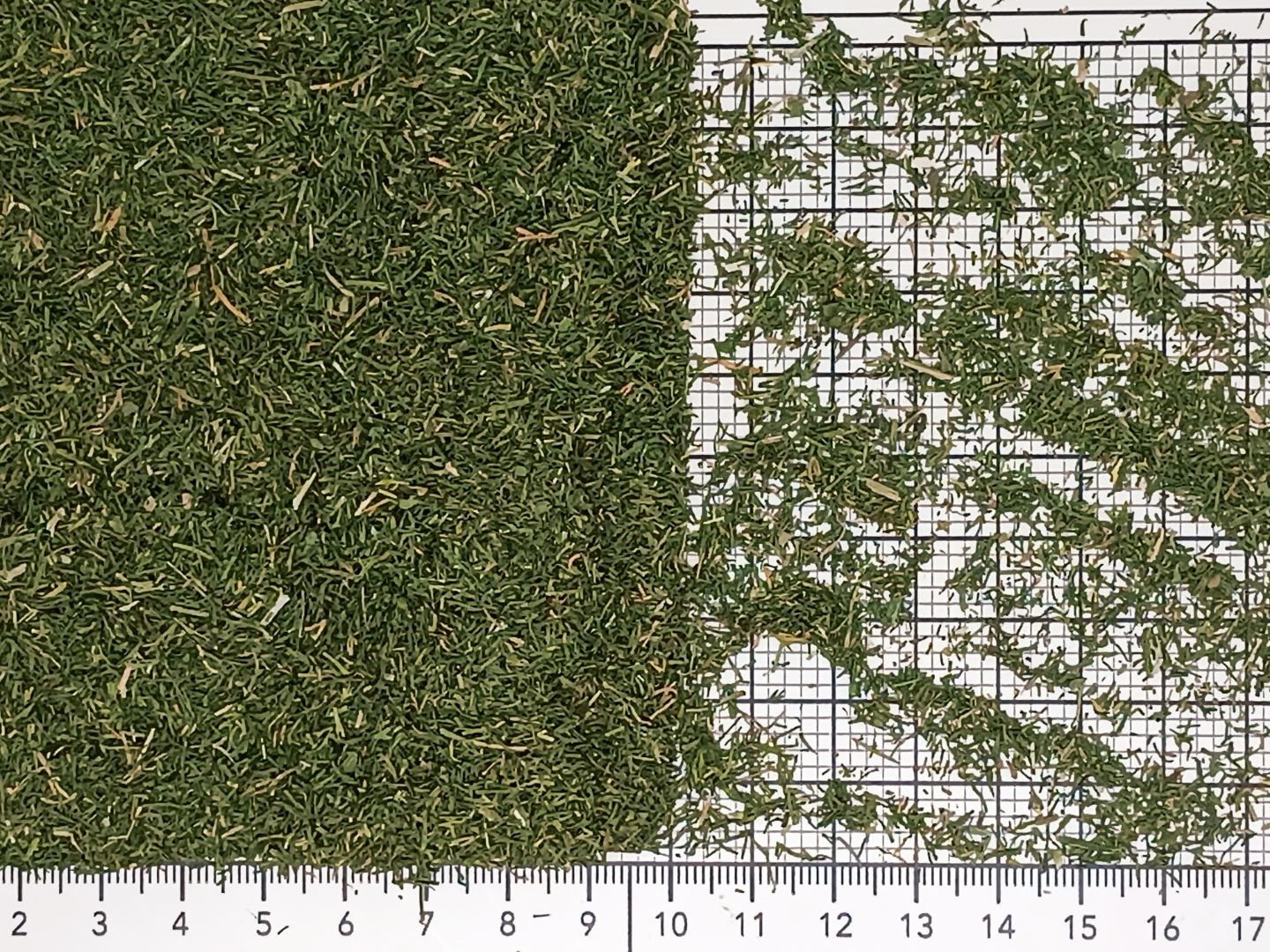 укроп зелень md очищенная